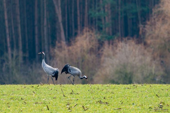 matena moments / Eberswalde