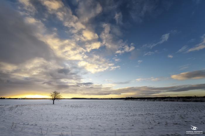 matena moments / Eberswalde