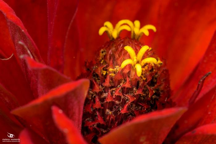 matena moments / Eberswalde