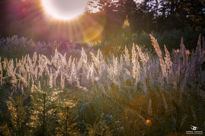 matena moments / Eberswalde