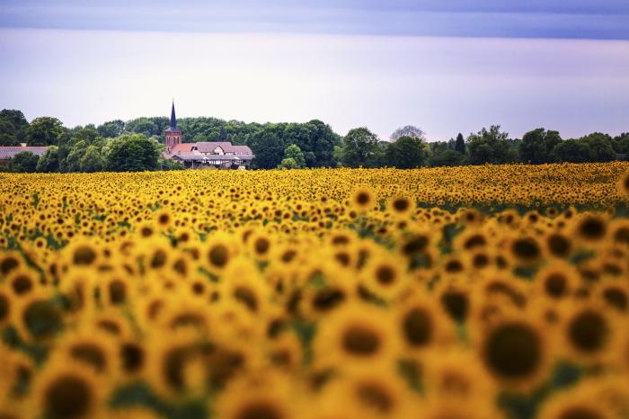 matena moments / Eberswalde