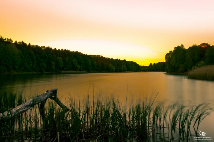 matena moments / Eberswalde