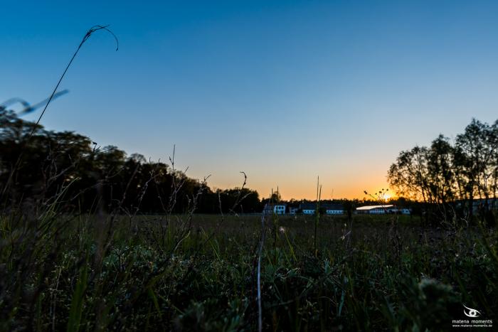 matena moments / Eberswalde