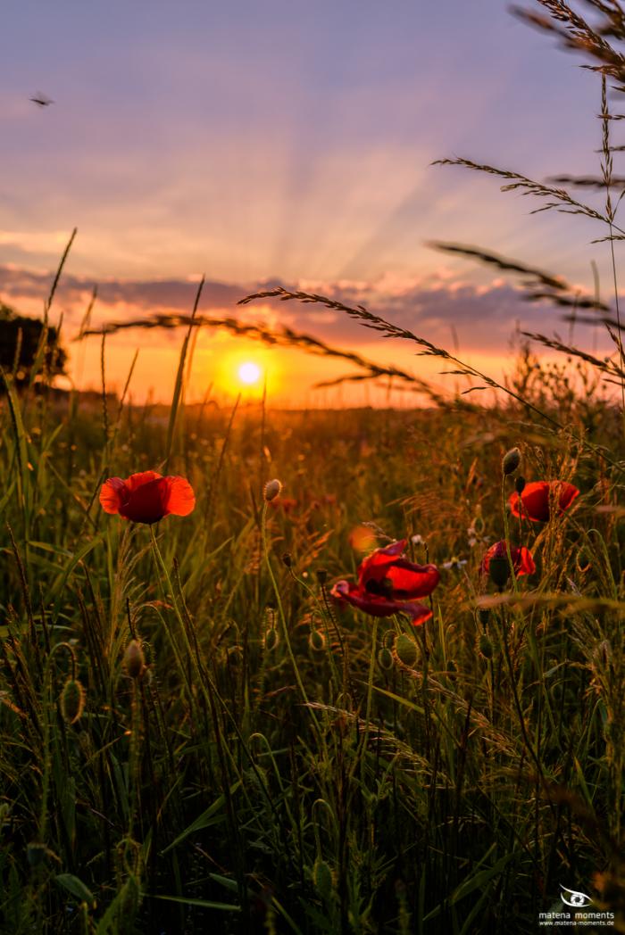 matena moments / Eberswalde