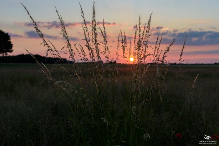 matena moments / Eberswalde