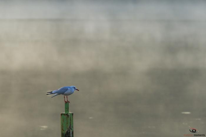 matena moments / Eberswalde