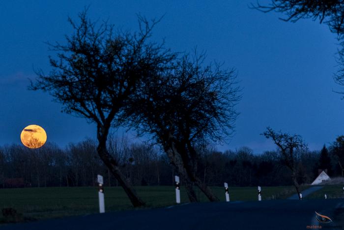 matena moments / eberswalde